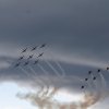 Aviation